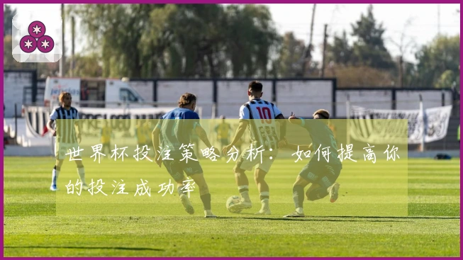 世界杯投注策略分析：如何提高你的投注成功率