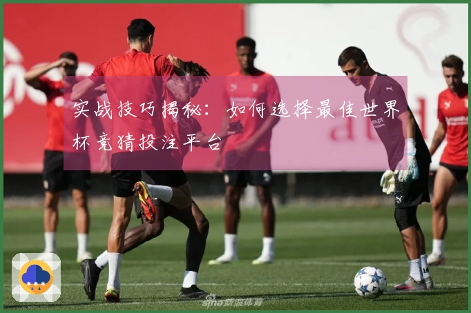 实战技巧揭秘：如何选择最佳世界杯竞猜投注平台