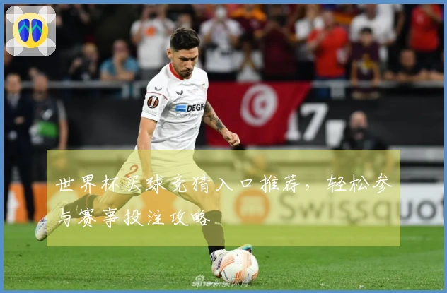 世界杯买球竞猜入口推荐，轻松参与赛事投注攻略