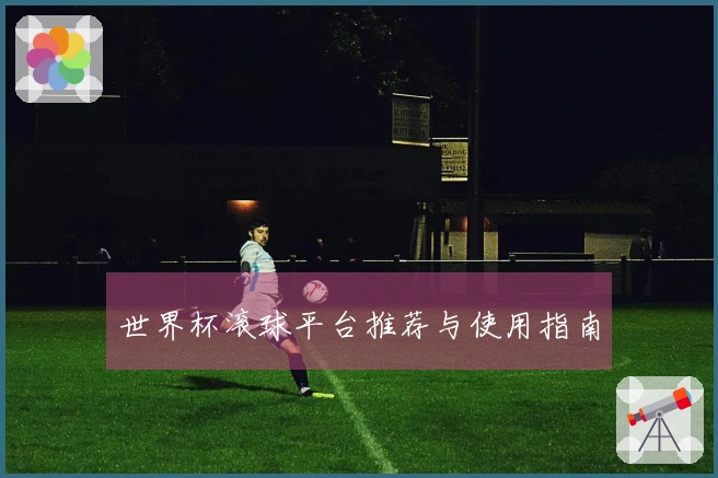 世界杯滚球平台推荐与使用指南