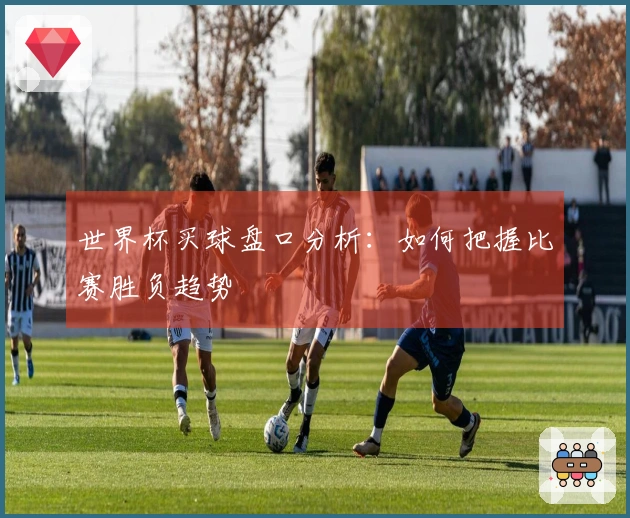 世界杯买球盘口分析：如何把握比赛胜负趋势
