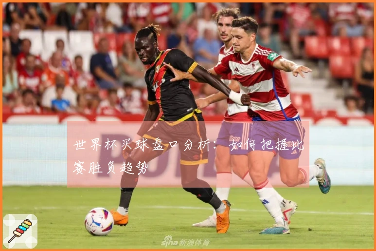 世界杯买球盘口分析：如何把握比赛胜负趋势