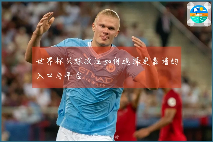 世界杯买球投注如何选择更靠谱的入口与平台