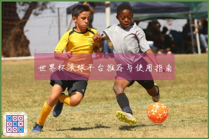 世界杯滚球平台推荐与使用指南
